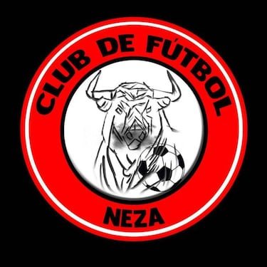 Se viene el regreso de Toros Neza