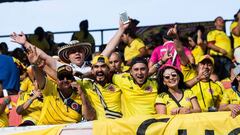 Hinchas de la Selecci&oacute;n Colombia