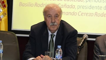 Vicente del Bosque, exseleccionador espa&ntilde;ol.