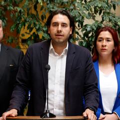 Quién es Vlado Mirosevic, nuevo presidente de la Cámara de Diputados