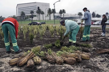 Trabajadores municipales colocan arbustos para decorar la avenida anexa al lugar del enlace entre Leo Messi y Antonella Roccuzzo.