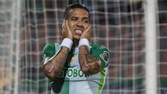 Diez proyectos que rompieron la ilusión en 2017