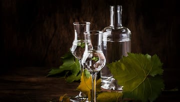 Pisco chileno obtiene doble oro en un certamen internacional