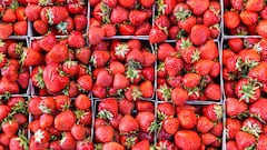 El origen del nuevo fresón de Mercadona