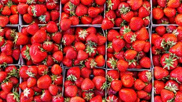 El origen del nuevo fresón de Mercadona