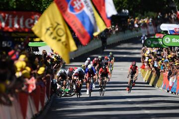 Cavendish cae contra las vallas tras un codazo de Peter Sagan, y John Degenkolb y Ben Swift tropezaron con el ingl¨¦s, en el esprint por la victoria en Vittel.