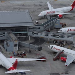 Avianca en bancarrota: ¿qué pasa con los pasajes y vuelos contratados?