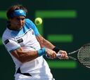 David Ferrer remonta y jugará la final contra Andy Murray