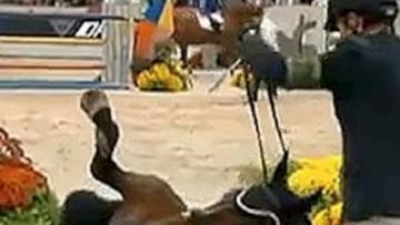 Fallece 'Hickstead' en la competición