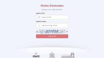 Elecciones Congresales: cómo saber si tengo multas electorales por no votar