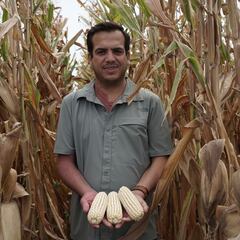 Agricultura Regenerativa: Compromiso de Grupo Bimbo con el Futuro Sostenible