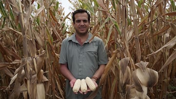 Agricultura Regenerativa: Compromiso de Grupo Bimbo con el Futuro Sostenible.