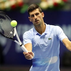 Científicos nombran nueva especie de escarabajo en honor de Djokovic