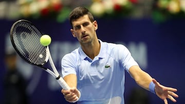Cient¨ªficos nombran nueva especie de escarabajo en honor de Djokovic