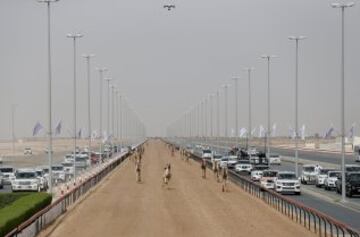 Se celebr車 en Dubai la Al Marmoom Heritage Festival, un acontecimiento que promueve el deporte tradicional de la carrera de camellos en la regi車n. Los participantes lo hacen a trav谷s de un jinete rob車tico con control remoto.