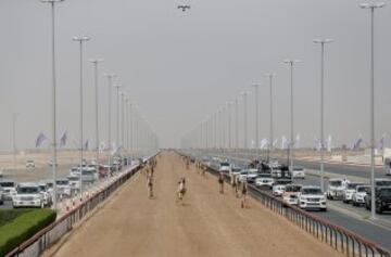 Se celebró en Dubai la Al Marmoom Heritage Festival, un acontecimiento que promueve el deporte tradicional de la carrera de camellos en la región. Los participantes lo hacen a través de un jinete robótico con control remoto. 