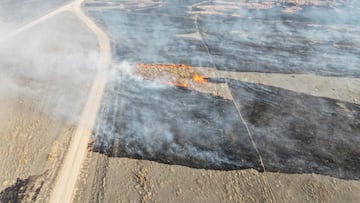 Una serie de incendios forestales arrasó con diversos condados de Texas, además de causar afectaciones en Oklahoma. Estas son las zonas más afectadas.