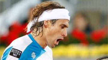 <b>David Ferrer</b>.