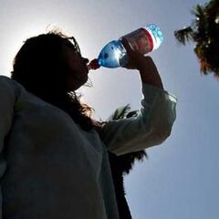 Ola de calor en Chile: cuándo llegará, temperatura y regiones afectadas