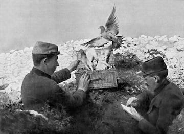 Dos soldados liberando palomas mensajeras en el frente durante una batalla en la Primera Guerra Mundial. 