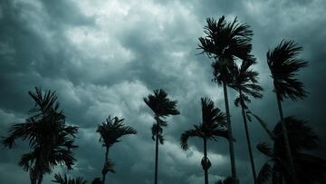Se forma la tormenta tropical Sara en el Caribe. El cono de la trayectoria apunta hacia Centroamérica, pero ¿llegará a Florida? Esto dicen los expertos.