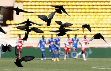 A falta de público en los estadios, buenas son palomas. Eso es lo que parece desprenderse de esta curiosa imagen, captada en el Estadio Luis II durante el partido de la Ligue 1 entre el Mónaco y el Estrasburgo. El equipo del Principado se impuso 3-2 con dos jugadores menos y se coloca en puestos de acceso a la Europa League.