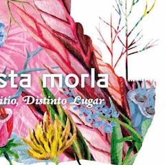 Vetusta Morla anuncia disco: Mismo sitio, distinto lugar