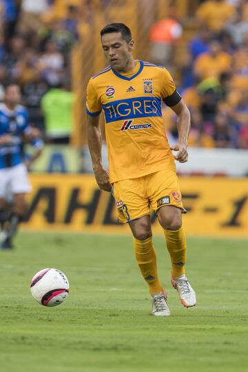 Juninho llegó con gran cartel, procedente de Brasil, donde ganó Copas y campeonato brasileño con Botafogo y Sao Paulo. Llegó al cuadro de Tigres en el Apertura 2010.