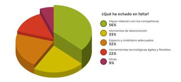 Gráfica sobre lo que los encuestados han echado más en falta.