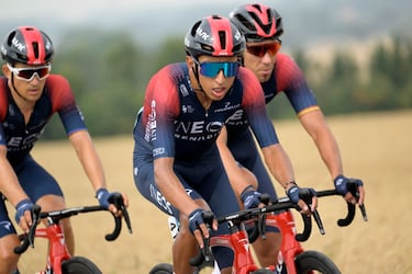 Sigue en vivo online el Tour de Dinamarca con el regreso de Egan Bernal. Primera etapa que se corre hoy 16 de agosto entre Allerod-Koge desde las 8:30 a.m.