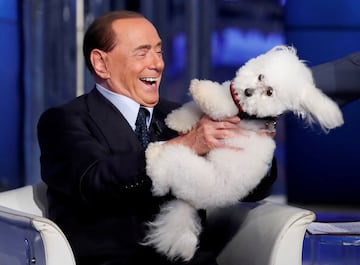 Silvio Berlusconi juega con un perro durante el programa de televisión "Porta a Porta".