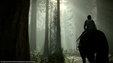 Captura de pantalla - Shadow of the Colossus (PS4)