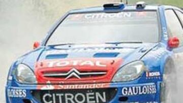 <b>SALVADOR. </b>Sordo intentará ayudar a su compañero Loeb a conseguir el campeonato del mundo.