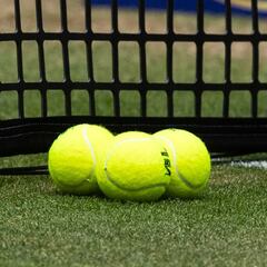 El tenis se une para combatir el abuso en internet