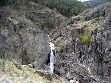 Crónica de mi batalla contra una gran dama