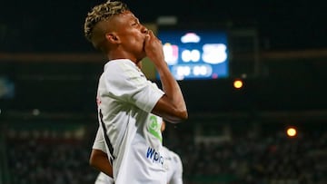 Once Caldas recibirá a Santaní en Palogrande por la primera fase de la Copa Sudamericana.