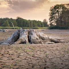 Día de Sobrecapacidad de la Tierra: el planeta, en ‘números rojos’