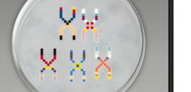 Capcom, Namco y Sega suman más cromosomas a su crossover para Nintendo 3DS