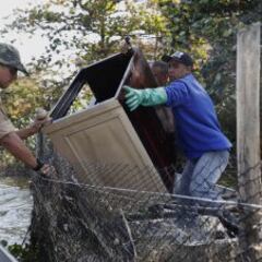 Así están las aguas de Río a pocos días de los JJ.OO.