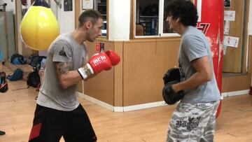 El caballo o ballesta