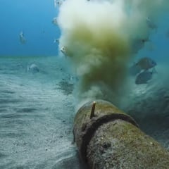 “Fue una película de terror: mi hijo enfermó tras un maravilloso día en la playa”