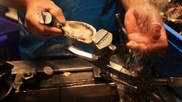 Norovirus outbreak in US and Canada linked to raw oysters