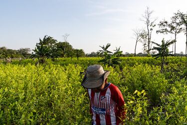 EE. UU. analiza recortar las ayudas a Colombia: este es el motivo y cómo podría afectar a la economía