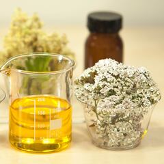 El ‘desconocido’ aceite que es tan bueno como el de oliva