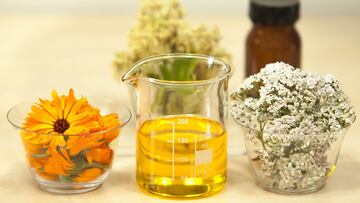 El ¡®desconocido¡¯ aceite que es tan bueno como el de oliva