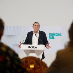 El “boicot activo” que propone Bildu al discurso del Rey