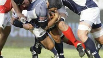 <strong>CAMPEONES.</strong> Los Gatos de Madrid se proclaman campeones.