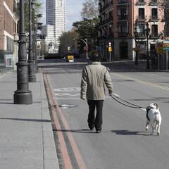 ¿Está permitido pasear al perro durante un toque de queda?