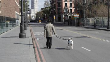 ?Est¨¢ permitido pasear al perro durante un toque de queda?
