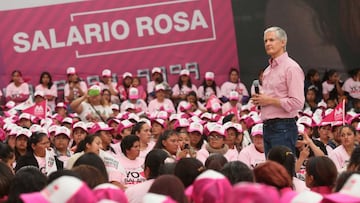 Salario Rosa: montos y cómo saber cuándo lo cobro en 2022